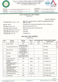 KQKN- Bột chuối tiêu xanh sấy lạnh-1